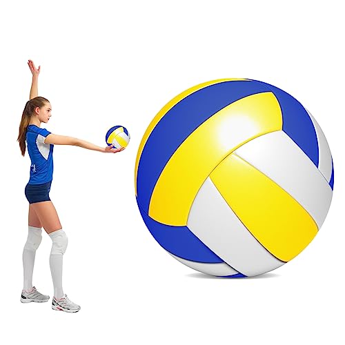 Ballon de Volley-Ball Taille 5 Intérieur/Extérieur