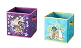 Idea Nuova Disney Encanto Set of Two Spacious Collpasible Storage Cubes, 10'x10'