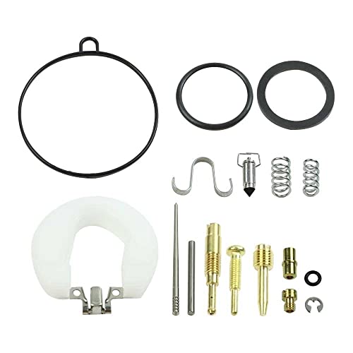 PZ19 - Kit de reparación de carburador de 19 mm para 50cc 70cc 90cc 110cc 125cc ATV Quad Dirt Pit Bike Go Kart Buggy Motocross (Color : 1 juego)