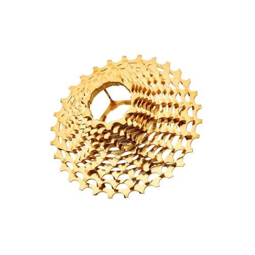 TNI NJZbg V}mp@S[h 11S 11-28T