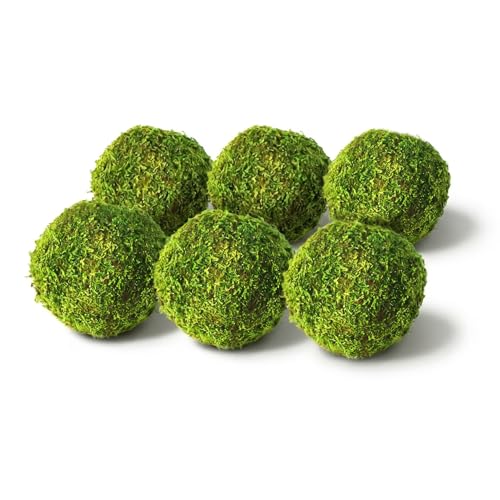 SuperMoss (21807) Moss Balls, Fresh Green, 2 SuperMoss (21807) Moss Balls, Fresh Green, 2