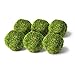 SuperMoss (21807) Moss Balls, Fresh Green, 2 (6 pack)"