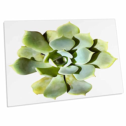 3dRose Succulent Garden Plant Desk Pad 23x16 pulgadas