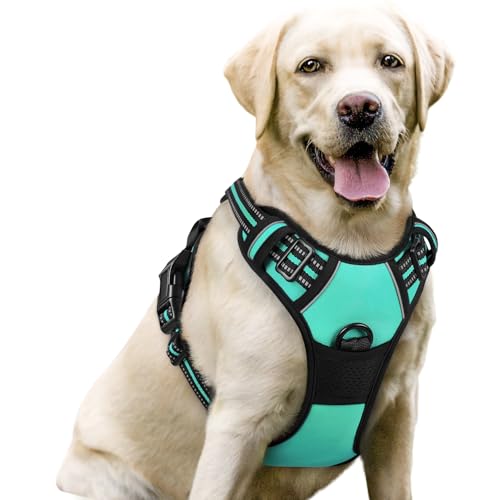 Image of rabbitgoo Dog Harness No Pull with 2 Leash Clips, Adjustable Soft Padded, Reflective Oxford No Choke Pet Vest with Easy Control Handle for Large Dogs, Turquoise, L