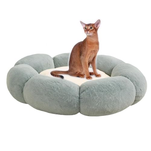 Lifetips ArVjAL Ar ӂӂybgxbh Lp 􂦂 ~ ~p NbV ʔNΉ ې􂢉 Lpxbh ~p ~ߒ 􂦂Jo[ ᔽNbV i_uO[j