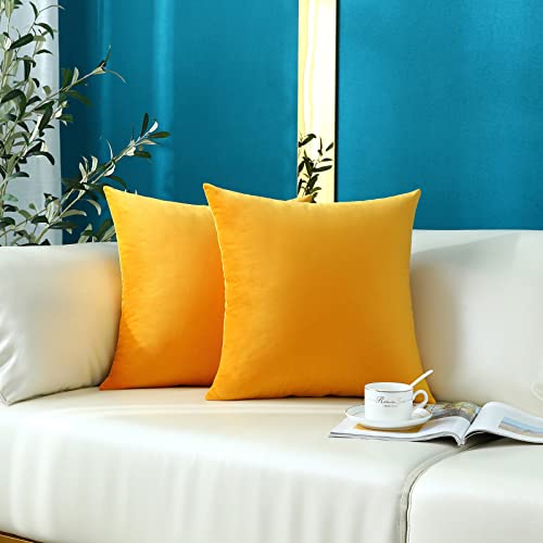 mixeoo Comfy Mustard Yellow Throw Pillow Covers Decorative Square Solid Thick Velvet Soft Cushion Cases Home Decor for Sofa Couch Living Room Chair, Set of 2, 18 x 18 Inch