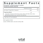 Vital Nutrients GI Repair Powder | Leaky Gut Powder with L Glutamine and Zinc | Digestive Enzyme Supplement to Support Gut Health and Digestion | Gluten Free | 40 Servings - Image 2