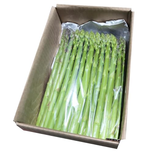 先行受付[里山JAPAN]甘くて柔らか 生きた土壌で育った『春のグリーンアスパラ』1kg|長野県 ※2026年春発送