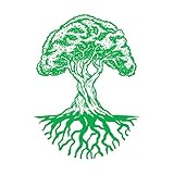 Raíces grandes de roble natural Pegatinas de tallado fino 68x91.5cm Se puede modificar y añadir información Verde