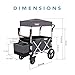 Keenz 7S - Ultimate Adventure Stroller Wagon - 2 Passenger, Dark Grey/Black