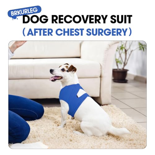 Image of BRKURLEG Chest Recovery Suit for Dogs, Chest Wound Cover, Blue XS