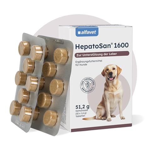 Alfavet HepatoSan 1600 | Doppelpack | 2 x 32 Tabletten | Ergänzungsfuttermittel für größere Hunde | Zur Unterstützung der Leberfunktion bei chronischer Leberinsuffizienz