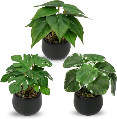 Villa Como CeA O[ tFCNO[ lH ϗtA tFCN  A  e[ufR[V GAvc 킢  Mtg 픫 R_Zbg (|gX)