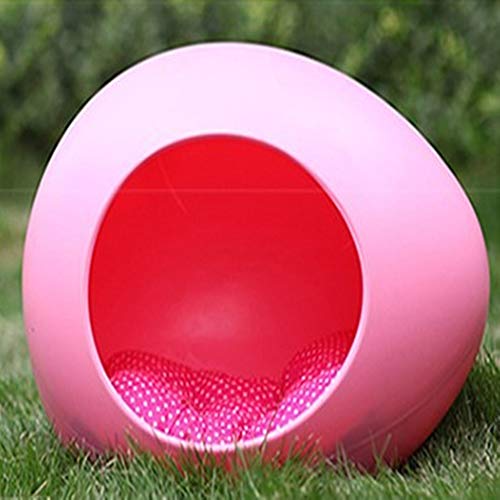 Maison pour chien en plastique d'architecture premium en oeuf Chenil Trick Or Treat Teddy Bear