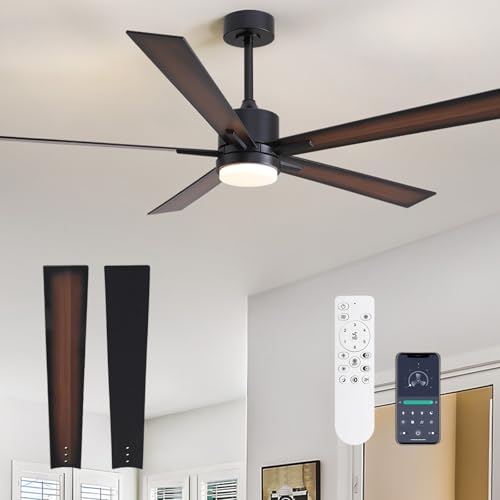 APBEAMLighting 60 inch Large Ceiling Fan with Light and Remote,
