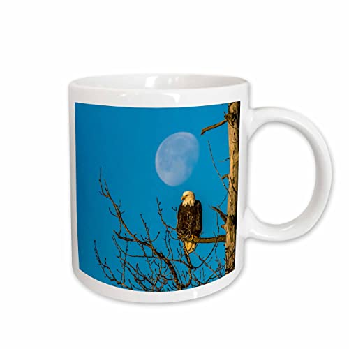 3dRose USA Alaska Chilkat Bald Eagle Preserve Adult Moon 15oz Mug