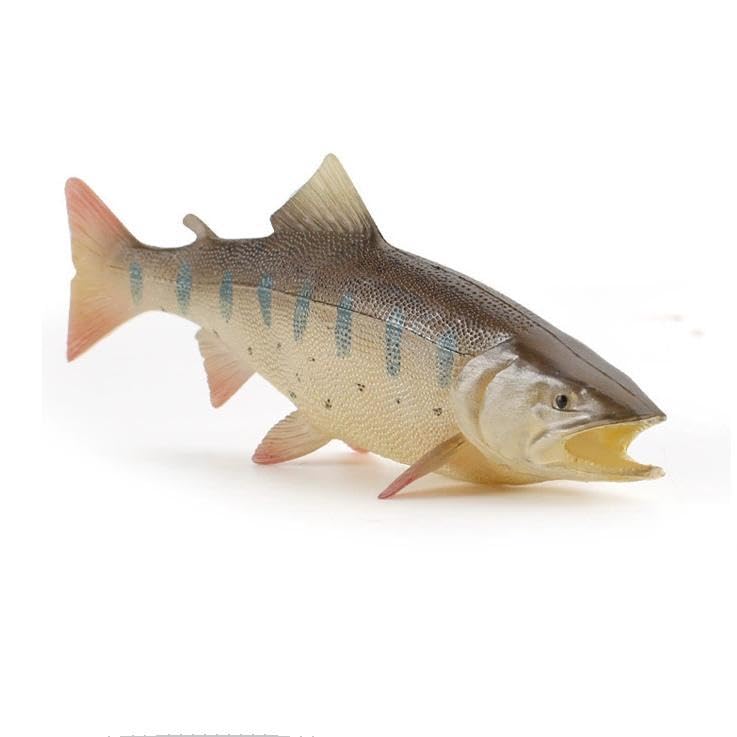 Amazon.co.jp: [猫神山] 山女魚 ヤマメ 川のサカナ 渓流 魚 フィギュア