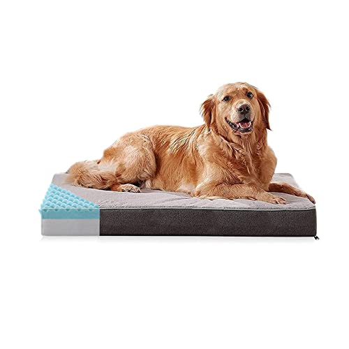 Best Cooling Beds For French Bulldogs Just HEALTHIER Frenchies!