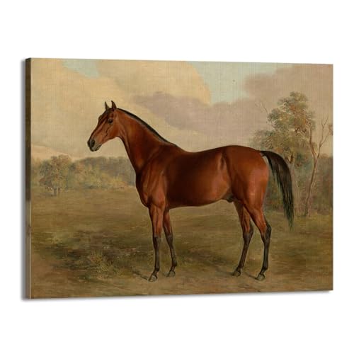 Poster vintage de cheval impression sur toile de qualité supérieure tendue sur cadre