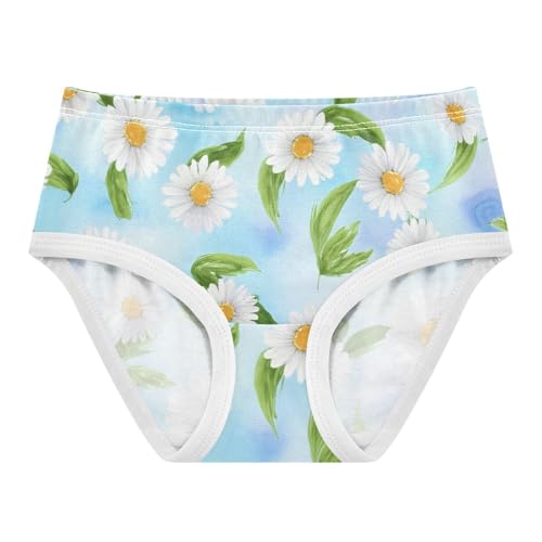 Cartoon Toddler Underwear Floral 2t Cotton Panties Little Girl White Daisies Green Leaves Blue Briefs Undies Kids