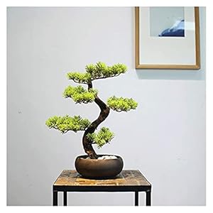 Artificial Trees Artificial Bonsai Tree, 14 Inches Potted Artificial House Plants, Beautiful Pine Bonsai Plant, Fake…