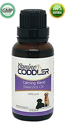 Calming Essential Oils for Dogs | Aromatherapy Treatment for Dogs | Calming Blend