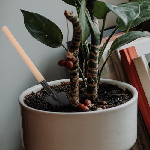 SUPVOX Juego de Herramientas de Jardinería Portátil Mini 3 Piezas para Plantar Mango de Madera Rastrillo Pequeño y Pala Metálica para Bonsáis y Cuidado Interior Kit Manual Práctico - imagen 6