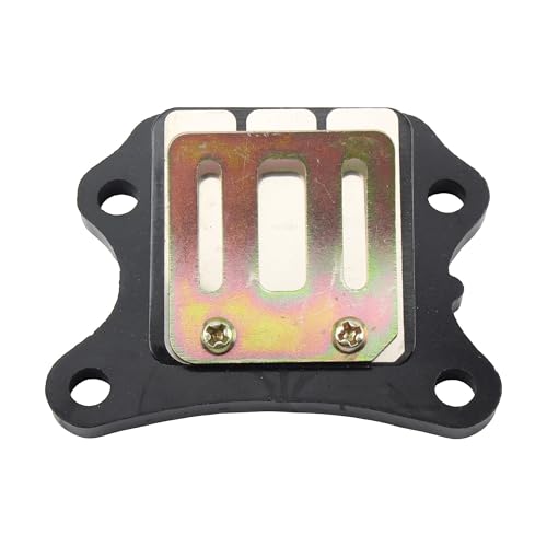 Conjunto válvula de láminas compatible con Honda DACT50 2