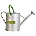 PANACEA PRODUCTS GT 2 Gallon Galvanized Water Can