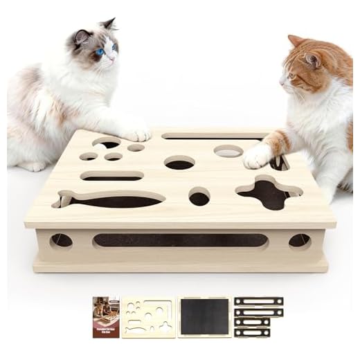 Durable Cat Scratch Puzzle Box