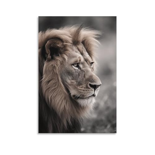 Toile murale lion sauvage 60x90 cm sans cadre moderne ZLFDSKGY