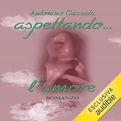 Aspettando l'amore copertina