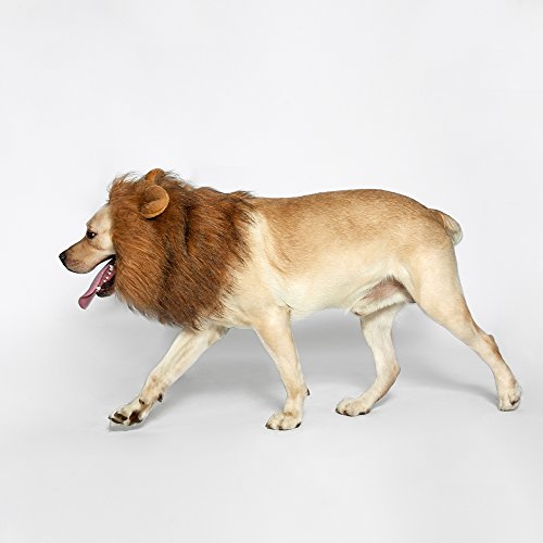image for TOMSENN Dog Lion Mane - Realistic & Funny Lion Mane for Dogs - Complem