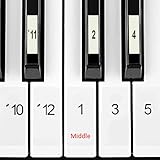 NUMBERED NOTES