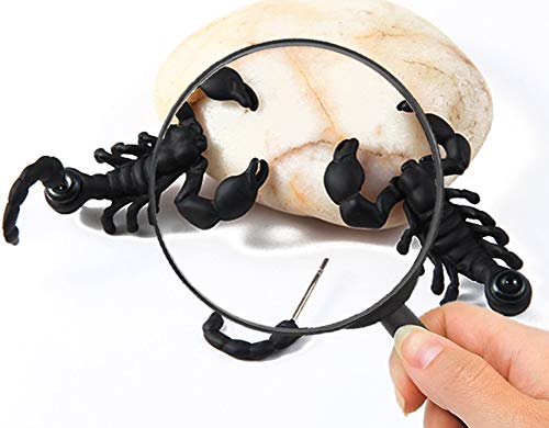 Halloween Skorpion Ohrringe Karneval Ohrstecker für Damen und Herren Schwarz 1 Paar