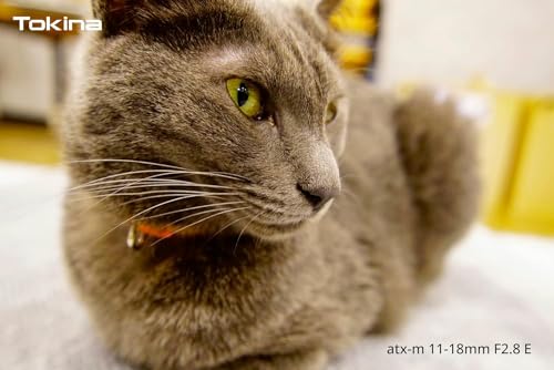 TOKINA 11 18MM F2.8 ATX SONY E - vue 8