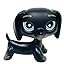 Duchshund #325 Duchshund #325