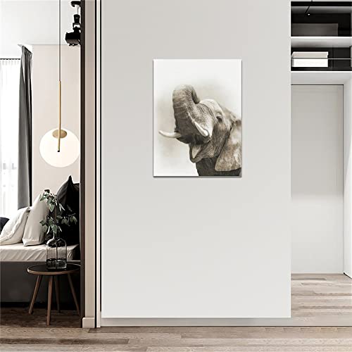 Funny Elephant Bathroom Wall Art Cute Elephant Pictures Wall Decor Black And White Canvas Prints Wild Animals Painting Framed Modern Artwork For Kitchen Dining Room Office 12"X16" #TOP2
