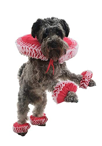 Starline Lencería para mascotas disfraz de patas, de organza y encaje