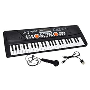 HOMME STORE World Piano Keyboard 49 Keys- Multi-Function Portable Piano Keyboard Electronic Organ with Charging Function…