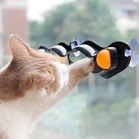 Fanomini Cat Interactive Toys Cat Track Window Sucker Toy Ball Window Adsorption Window Glass Sucker Toy Reusable Plastic Table Tennis Funny Cat Educational Toy for Cat Exercise -ZZI(black) Cover