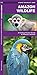 Amazon Wildlife: A Folding Pocket Guide to Familiar Animals (Wildlife and Nature Identification)