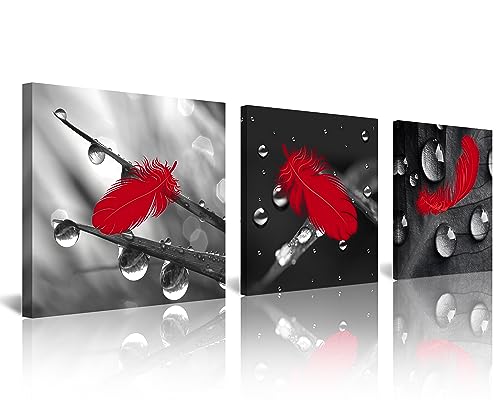 NAN Wind 3-Piece Red Feather Canvas Wall Art Set Black and White Abstract Decor Stretched Framed Ready to Hang Modern Home Decoration Paintings for Living Room Bedroom Office