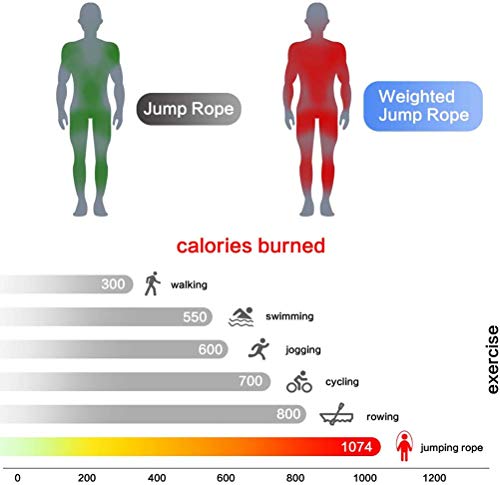 Feebo High Speed Jump Rope With Double Ball Bearing, Adjustable Tangle-Free Jumping Rope With 2 Speed Rope & Aluminum Non-Slip Grip, Weighted Jump Rope For Fitness, Double Unders, Boxing, Mma #TOP6