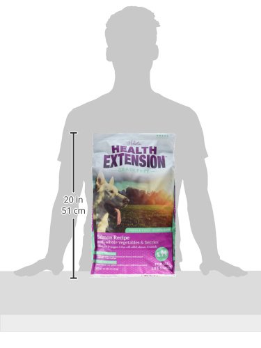 Health Extension Dry Dog Food, Natural Food With Added Vitamins & Minerals, Suitable For All Puppies, Grain Free, Salmon Recipe With Whole Vegetable & Berries (10 Pound) #TOP7