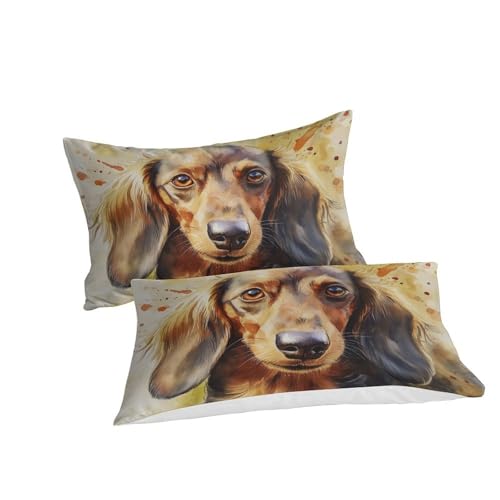 Housse de couette teckel fermeture éclair linge de lit 260x220