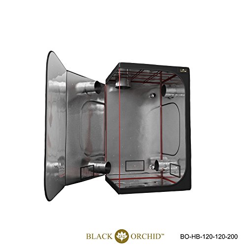 BLACK ORCHID 120x120x200 Tent Hydroponics Hydroponic Indoor Grow Room Fan Tent Bud Room Plant Grow Fan