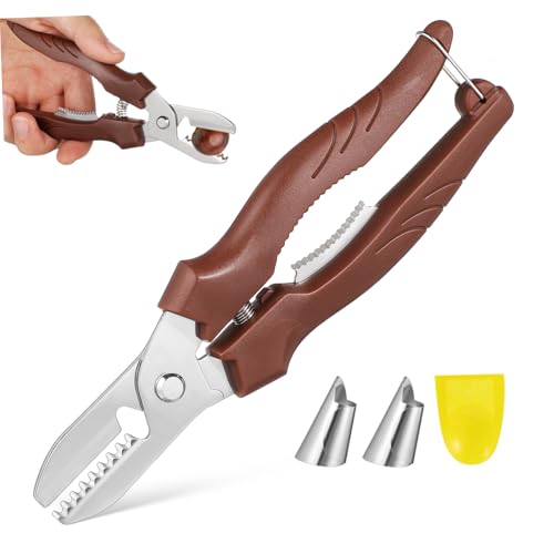 Hemobllo Stainless Steel Chestnut Cutter Tool Ergonomic Handle Heavy Duty Nut Cracker for Chestnuts Walnuts and Pecans Compact Design for Easy Storage and Use