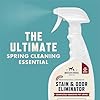 Rocco & Roxie Extreme Stain & Odor Eliminator for Strong Odor, Pet Urine Enzyme Cleaner Destroyer, Stain Remover, Dog Poop and Cat Pee, Enzymatic Carpet Cleaner Spray for Home, Puppy Potty Training #1