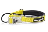 Beeztees Safety Gear Parinca Premium, Hundehalsband, LED, Nylon -